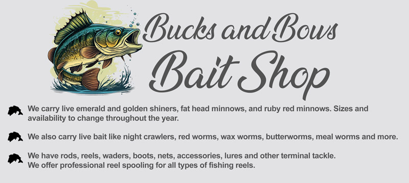 Bait Shop