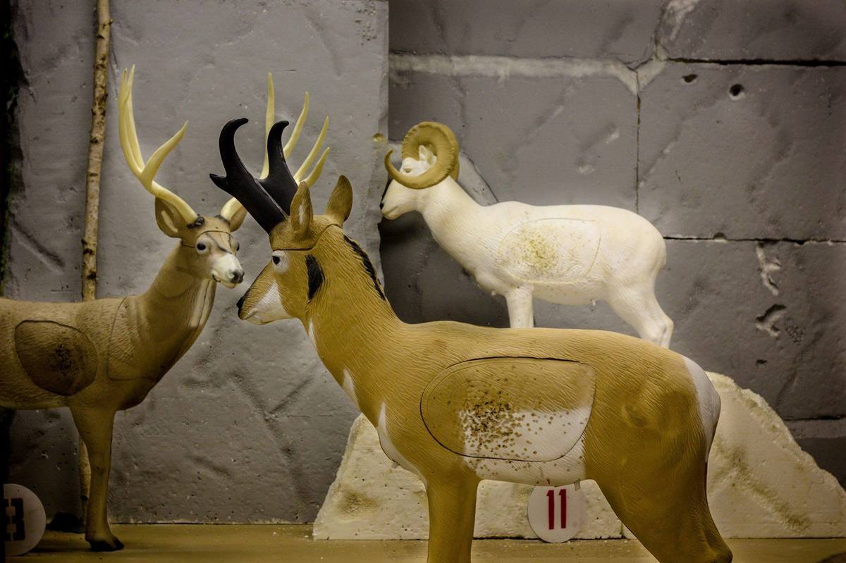 Indoor 3D Range 2