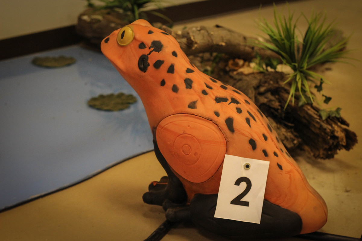 Indoor Targets 3
