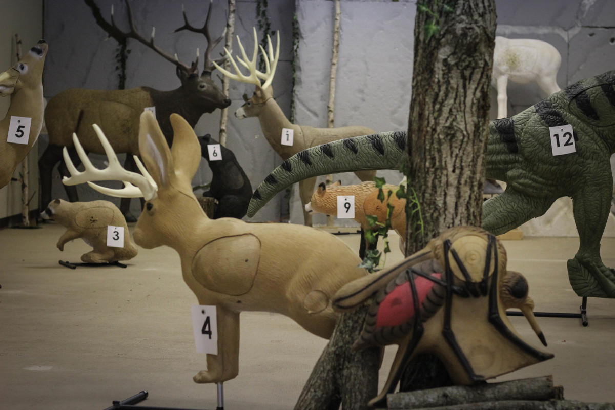 Indoor Targets 4