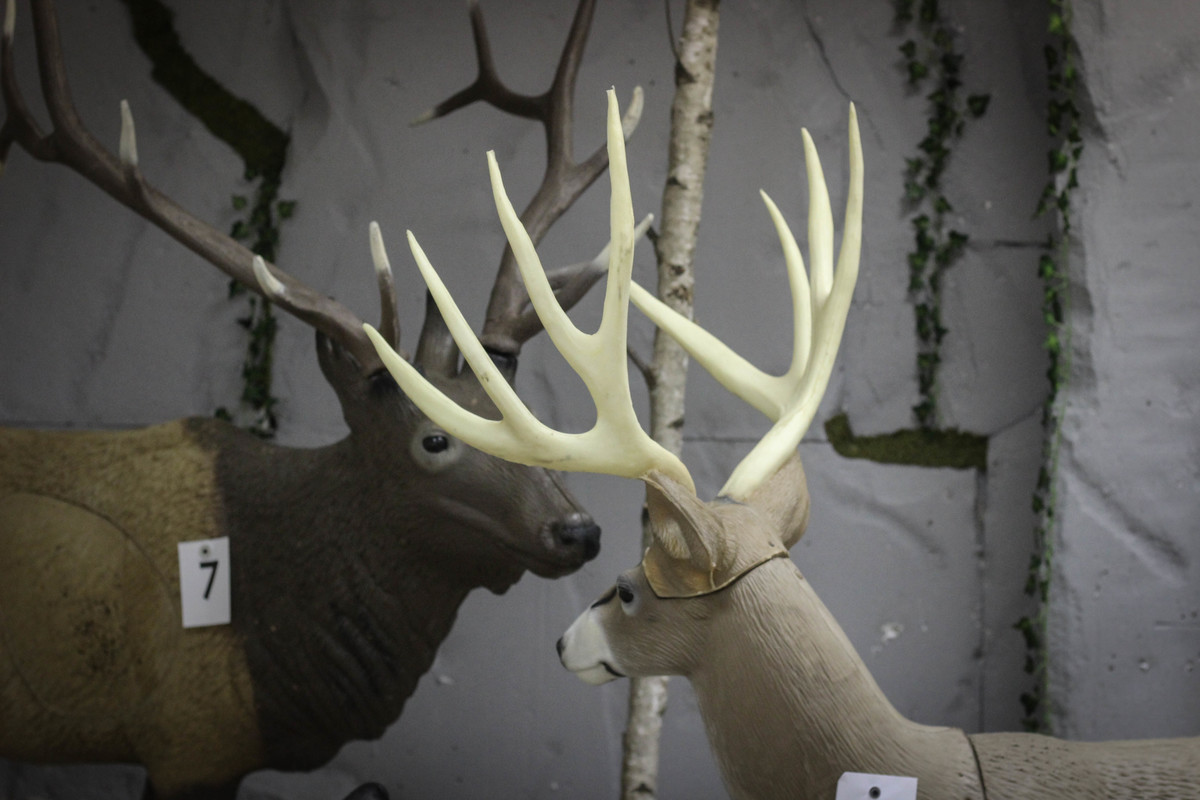 Indoor Targets 8