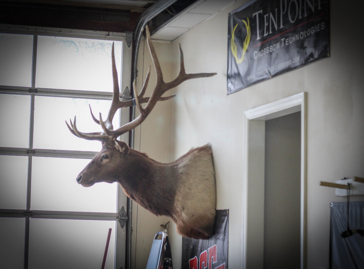 Indoor Targets 11
